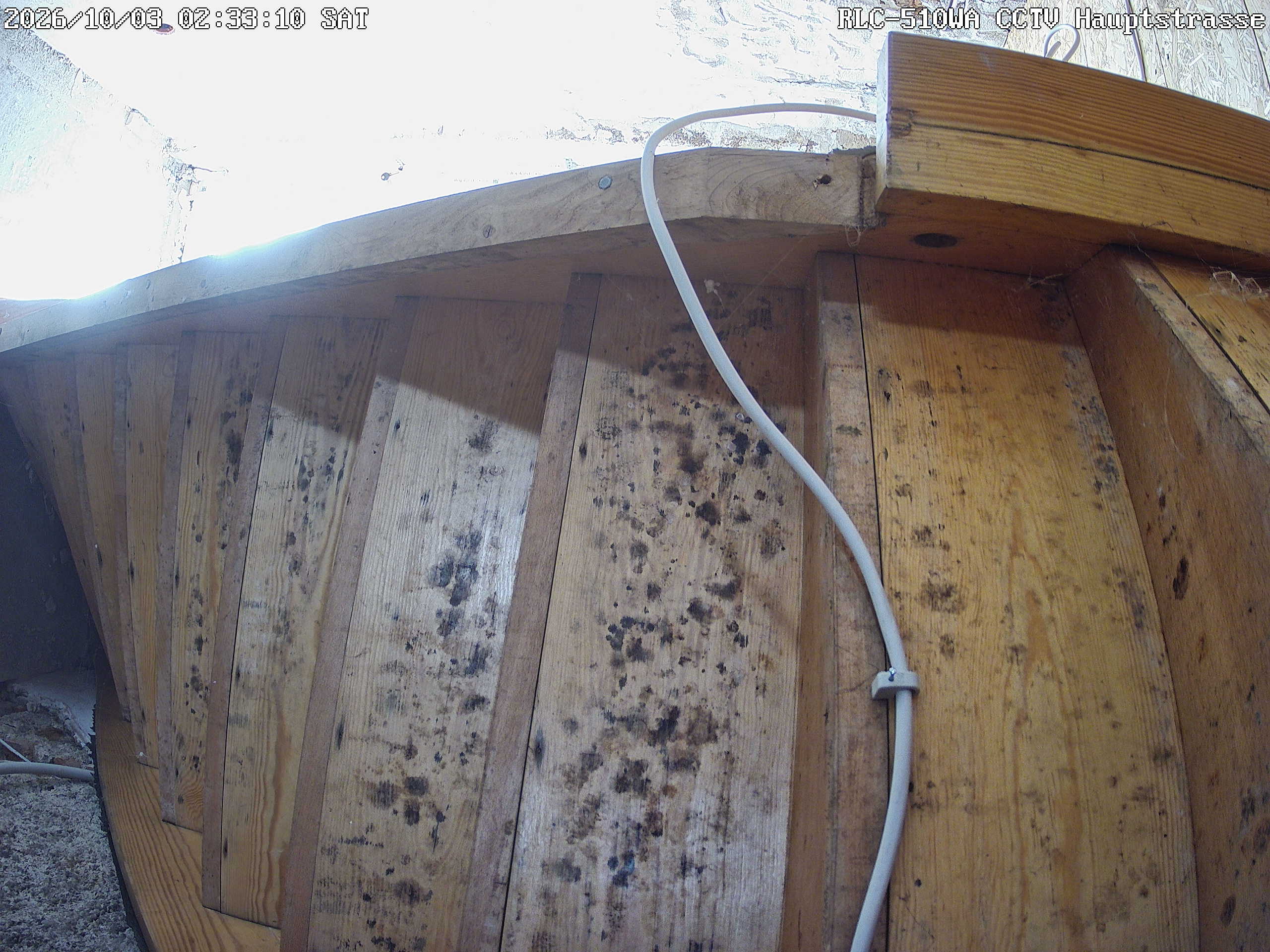 RLC-510WA CCTV Hauptstrasse_00_20261003023310.jpg